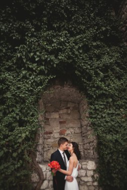 Onların düğün günü bitkiler çalılar ağaçlar güzel duvara yakın poz muhteşem yeni evli