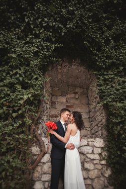 Zarif güzel düğün çift, gelin ve damat çalılar duvarına yakın park poz