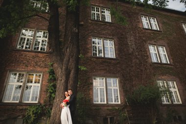 Onların düğün günü bitkiler çalılar ağaçlar güzel duvara yakın poz muhteşem yeni evli