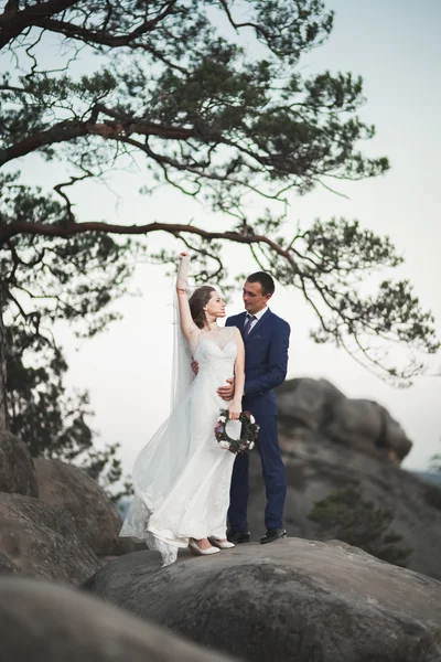Underbara bröllop par kyssar och kramar nära klipporna med fantastisk utsikt — Stockfoto