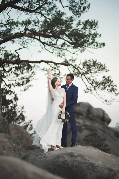 Hermosa pareja de boda besándose y abrazándose cerca de los acantilados con impresionantes vistas —  Fotos de Stock