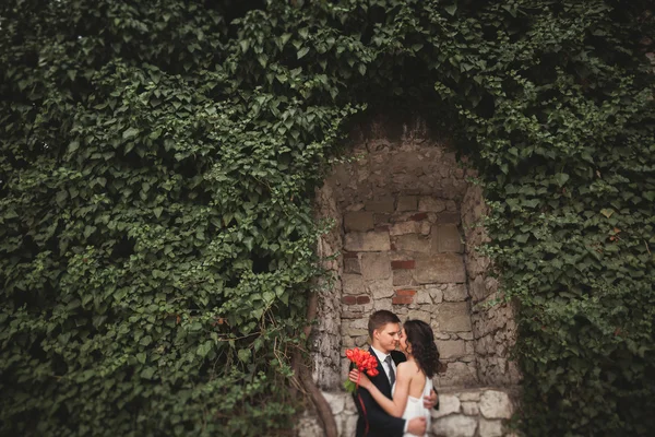 Елегантна красива весільна пара, наречена і наречений позує в парку біля стіни кущів — стокове фото