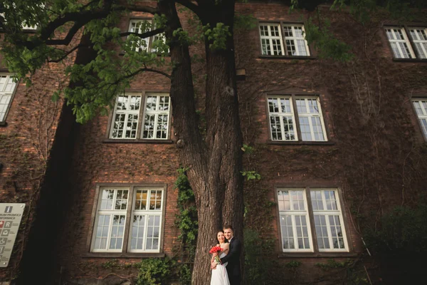 Gorgeous newlywed posing near beautiful wall of plants bushes trees in their wedding day — Stock Photo, Image