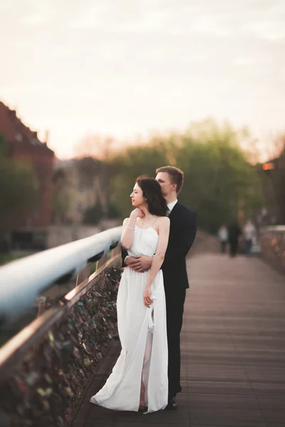 Πανέμορφο γαμήλιο ζεύγος, νύφη και ο γαμπρός που παρουσιάζουν στη γέφυρα για: Κρακοβία — Φωτογραφία Αρχείου