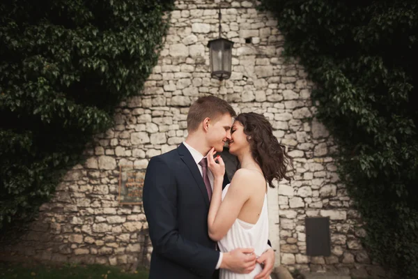 Elegante bella coppia di sposi, sposa e sposo in posa nel parco vicino a un muro di cespugli — Foto Stock