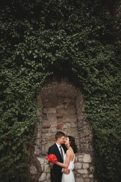 Splendido sposo posa vicino a un bellissimo muro di piante cespugli alberi nel loro giorno del matrimonio — Foto Stock