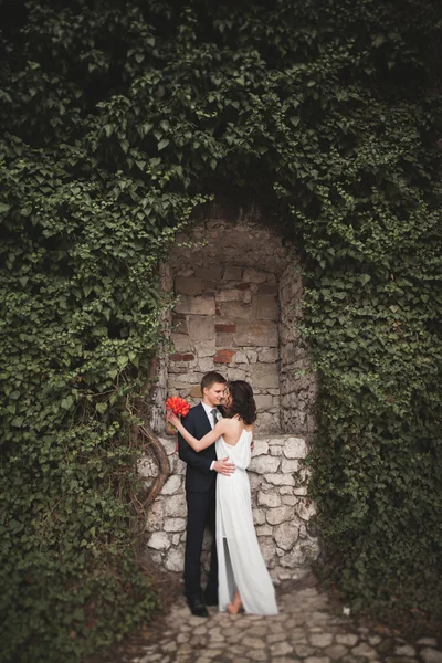 우아한 아름 다운 웨딩 커플, 신부와 신랑이 숲의 벽 근처 공원에서 포즈 — 스톡 사진