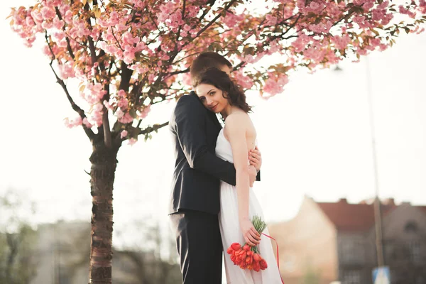 Eleganta kärleksfulla bröllop par kyssar och kramar nära träd med blommor — Stockfoto