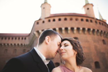 Mutlu düğün çift, damat, Gelin pembe elbise ile sarılma ve birbirlerine arka plan üzerinde gülümseyen duvarlar kalede