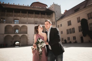 Mutlu düğün çift, damat, Gelin pembe elbise ile sarılma ve birbirlerine arka plan üzerinde gülümseyen duvarlar kalede