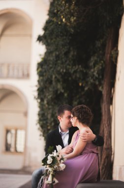 Mutlu düğün çift, damat, Gelin pembe elbise ile sarılma ve birbirlerine arka plan üzerinde gülümseyen duvarlar kalede