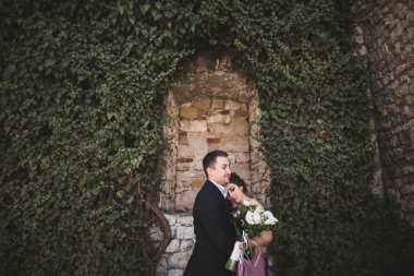 Sarılma ve öpüşme arka plan güzel bitkiler üzerinde lüks Düğün çifti mağara antik kale