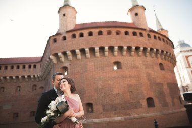 Güzel çift, erkek, kız uzun pembe elbise eski kale sütunlar yakınındaki poz ile. Krakow Vavel