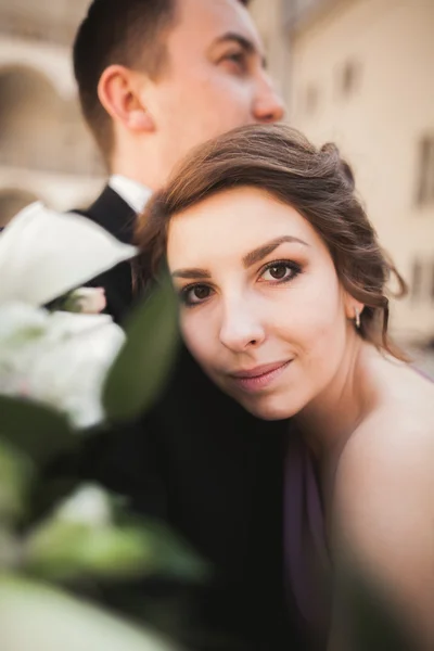 Mutlu düğün çift, damat, Gelin pembe elbise ile sarılma ve birbirlerine arka plan üzerinde gülümseyen duvarlar kalede — Stok fotoğraf