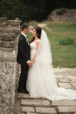 Mutlu düğün kaç sarılma ve öpüşme üzerinde arka plan eski kale