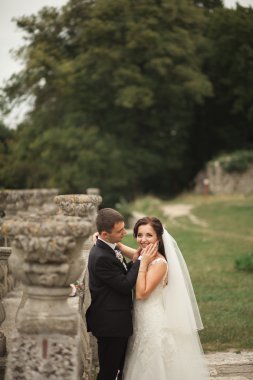 Mutlu düğün kaç sarılma ve öpüşme üzerinde arka plan eski kale