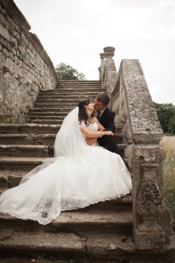 Güzel, romantik bir düğün. Yeni evliler. Eski kalenin yakınlarında sarılıyorlar.