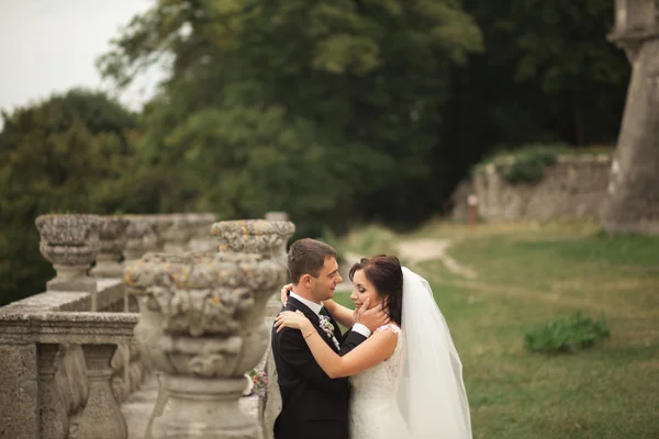 Mutlu düğün kaç sarılma ve öpüşme üzerinde arka plan eski kale — Stok fotoğraf