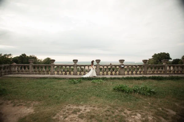 Bella coppia di sposi romantici che si abbracciano vicino al vecchio castello — Foto Stock