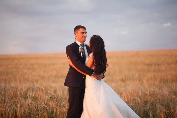 Hermosa pareja romántica de recién casados abrazándose en el parque en la puesta del sol —  Fotos de Stock