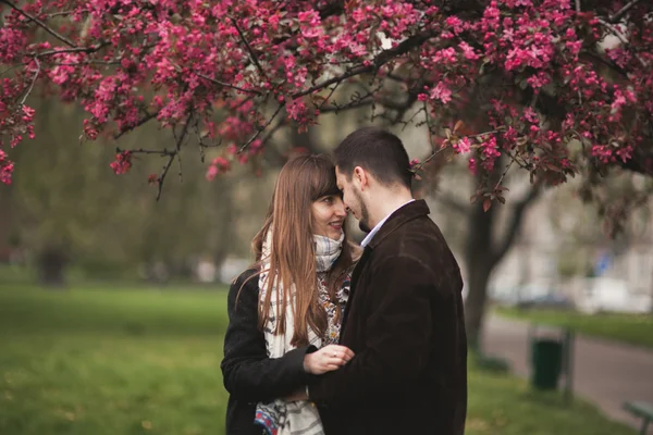 Miłości para pod drzewem z kwiatem w parku — Zdjęcie stockowe