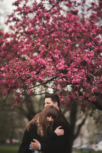 Älskande par under ett träd med blomma i parken — Stockfoto