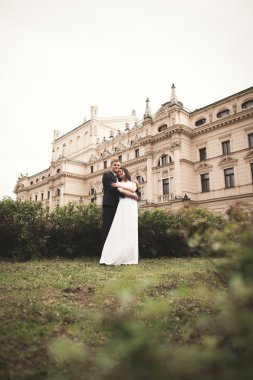 Güzel düğün çift, Gelin, damat öpüşme ve tiyatro arka planı sarılma