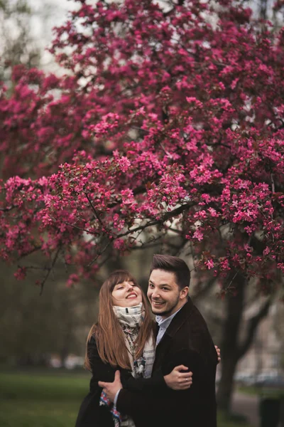 Coppia amorevole sotto un albero con fiore nel parco — Foto Stock