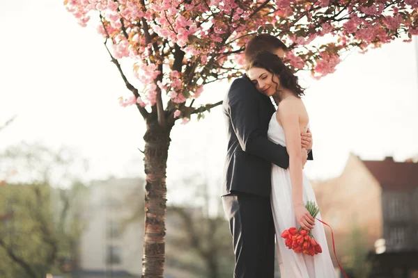 Стильна любляча весільна пара цілується і обіймається біля дерева з квітами — стокове фото
