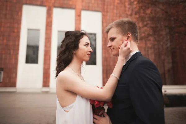 Pareja de boda, novia y novio posando cerca de un edificio elegante — Foto de Stock