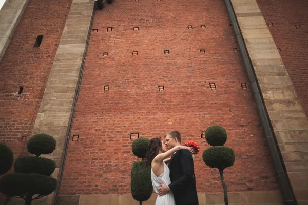 Elegante coppia di nozze amorevole baci e abbracci nel parco sullo sfondo della Grande Muraglia — Foto Stock