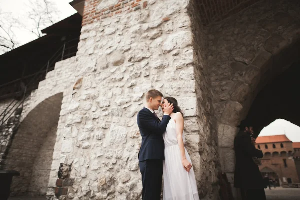 Hochzeitspaar, Braut, Bräutigam küssen und umarmen sich an der Wand — Stockfoto