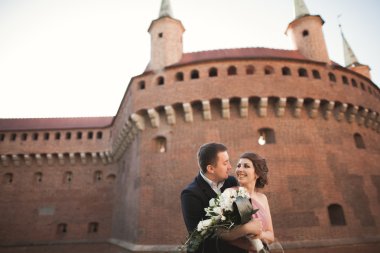 Mutlu düğün çift, damat, Gelin pembe elbise ile sarılma ve birbirlerine arka plan üzerinde gülümseyen duvarlar kalede