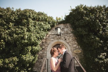 Sarılma ve öpüşme arka plan güzel bitkiler üzerinde lüks Düğün çifti mağara antik kale