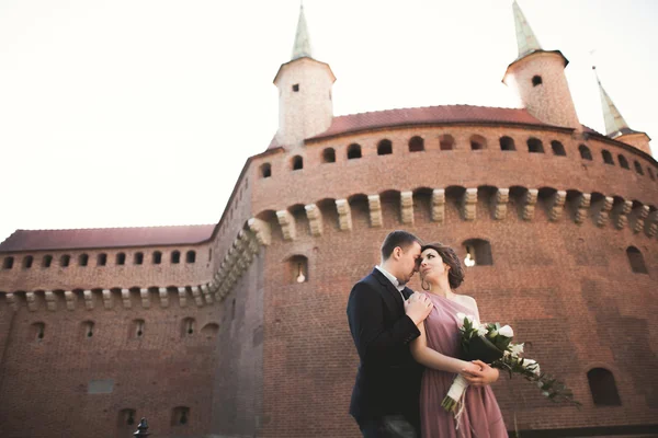 美丽的夫妇，男人，女孩粉红色的长礼服摆在列附近的古城堡。克拉科夫 Vavel — 图库照片