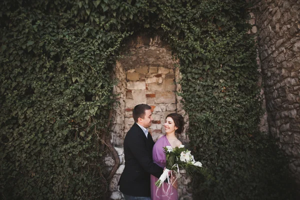 Casal de luxo abraçando e beijando no fundo plantas lindas, caverna perto do castelo antigo — Fotografia de Stock