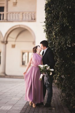 Mutlu düğün çift, damat, Gelin pembe elbise ile sarılma ve birbirlerine arka plan üzerinde gülümseyen duvarlar kalede