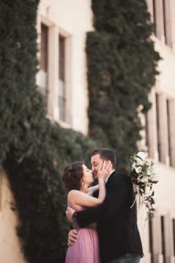 Mutlu düğün çift, damat, Gelin pembe elbise ile sarılma ve birbirlerine arka plan üzerinde gülümseyen duvarlar kalede