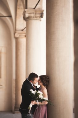 Mutlu düğün çift, damat, Gelin pembe elbise ile sarılma ve birbirlerine arka plan üzerinde gülümseyen duvarlar kalede