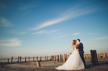 Şık, şık, mutlu bir düğün çifti, gelin, deniz ve gökyüzünün arka planında muhteşem bir damat.