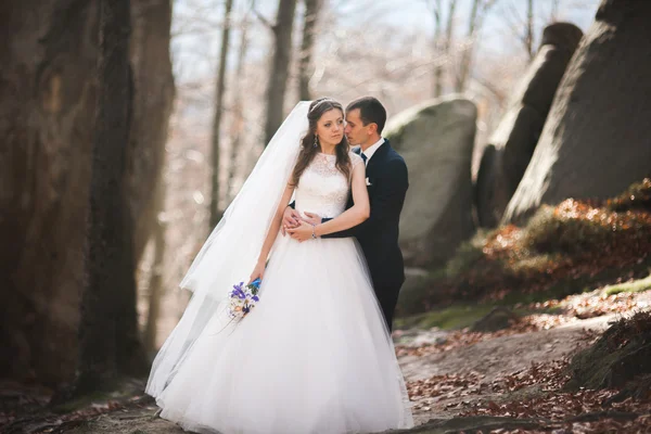 Splendida sposa, sposo baciare e abbracciare vicino alle scogliere con vista mozzafiato — Foto Stock