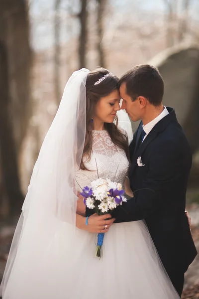 Linda noiva, noivo beijando e abraçando perto das falésias com vistas deslumbrantes — Fotografia de Stock