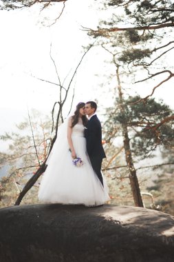 Muhteşem gelin, damat öpüşme ve sarılma Gösterim çarpıcı uçurum yakın: