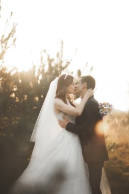 Parkta günbatımında poz zarif güzel düğün çifti