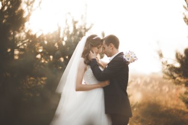 Parkta günbatımında poz zarif güzel düğün çifti