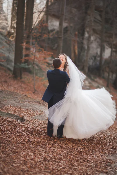 Vacker brud, brudgum kyssas och kramas nära klipporna med fantastisk utsikt — Stockfoto