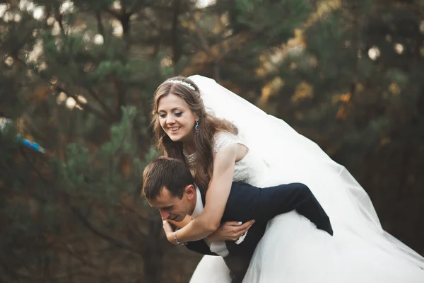 Casal lindo elegante posando no parque ao pôr do sol — Fotografia de Stock