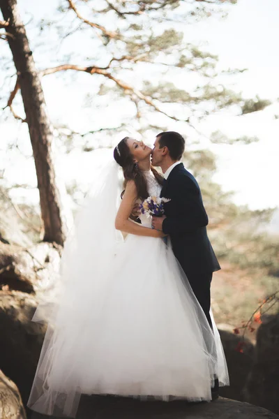 Gorgeous bride, groom kissing and hugging near the cliffs with stunning views — Stock Photo, Image