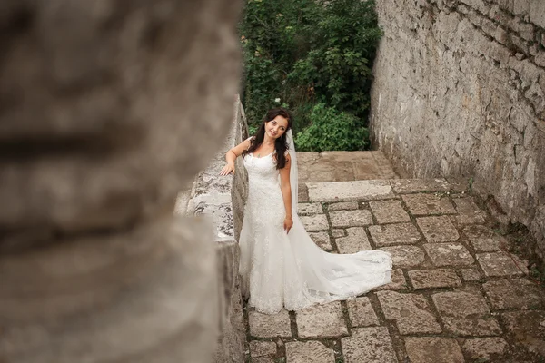 华丽、浪漫、温文尔雅、美丽的高加索新娘在巴洛克古堡的背景下 — 图库照片