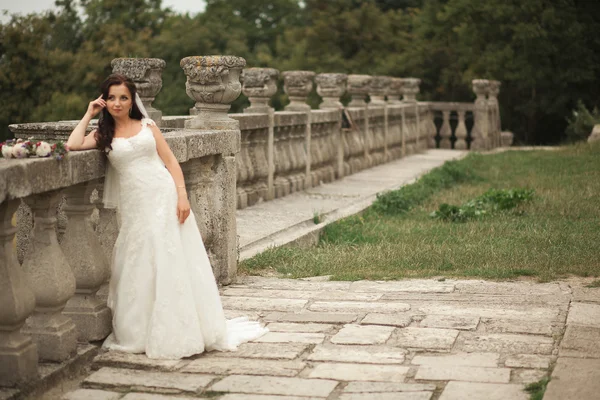 Splendido romantico gentile elegante bella sposa caucasica sullo sfondo antico castello barocco — Foto Stock